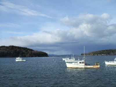 Bar Harbor 17.JPG