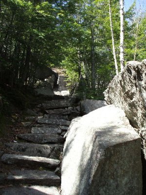 Acadia Ntl Park 3.JPG