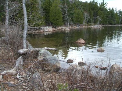 Acadia Ntl Park 15.JPG