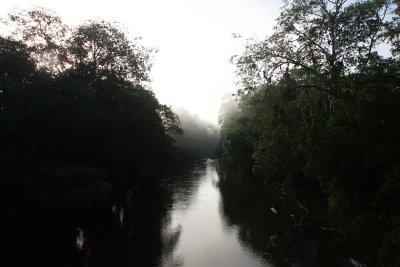 Morning River