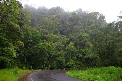 cahuita_national_park