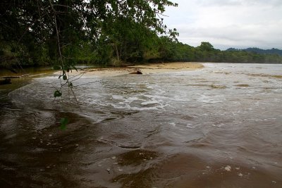 The Tidal Flood at Suarez Creek