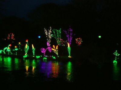 Lighted plants growing out of the pond and stream