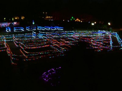 The Children's Garden outlined in lights