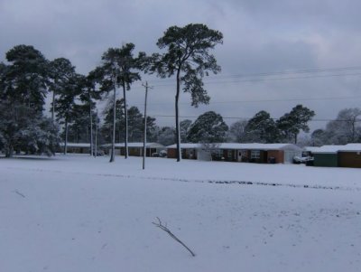 View across the gully in the back to our neighbors' houses