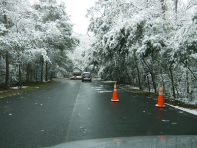 Coming up to the entry gate; trees hanging down in the road