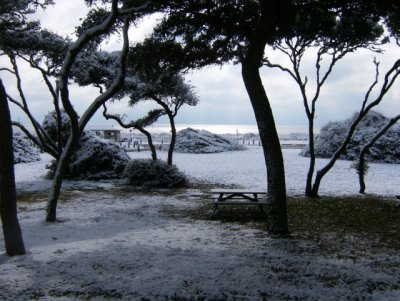 Ocean, dunes, trees, and snow