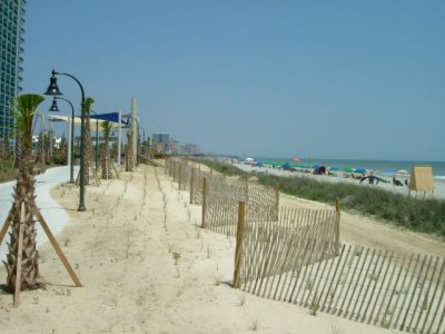 The dunes replanted with native grasses