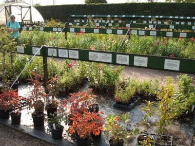 AND they sold plants, lots and lots of plants!!!  I was so tempted...........