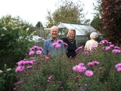Smiles over the asters