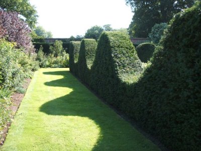Now THAT's a hedge!
