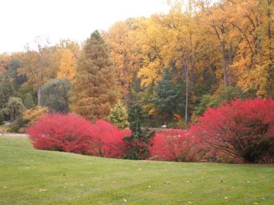 Wonderful colors!