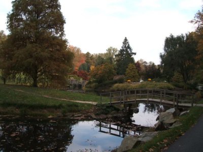 Walking around towards the Japanese Pavilion