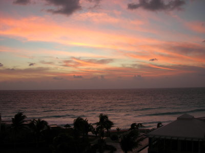 DSCN0439.JPG