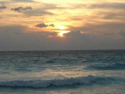 DSCN0446.JPG
