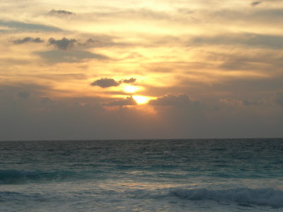 DSCN0447.JPG