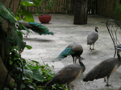 DSCN0452.JPG