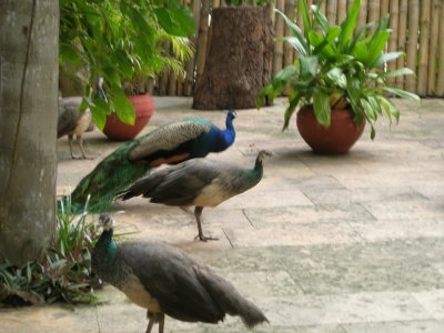 DSCN0453.JPG