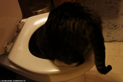 g3/46/3146/3/122002399.kYHHzT0N.jpg