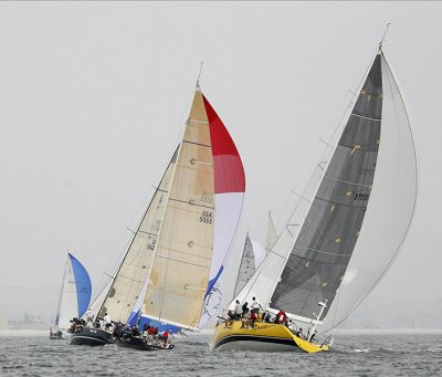 _MG_3956.JPG
