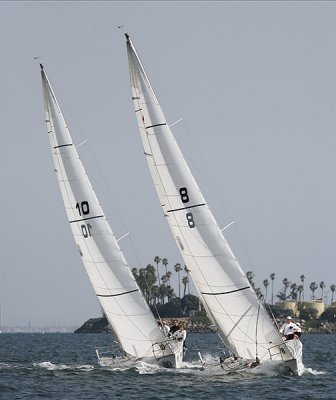 _MG_6305.JPG
