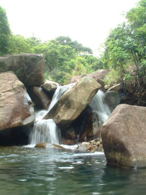 _SCF0049.jpg