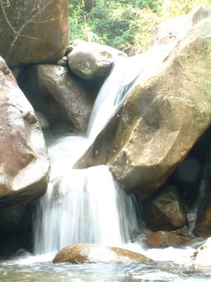 _SCF0052.jpg