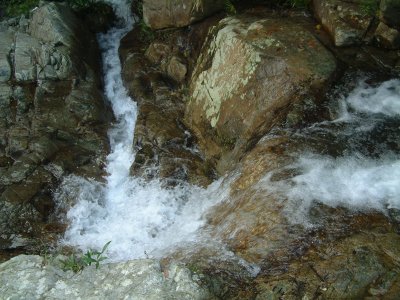 _SCF0075.jpg