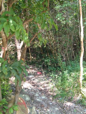 DSCF0047.jpg