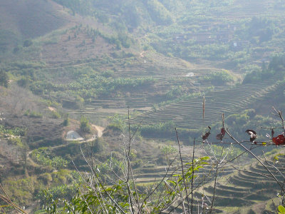 g3/46/358246/3/121126010.jeQc71Tk.jpg
