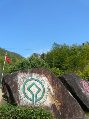 g3/46/358246/3/121126022.YWzynUI4.jpg