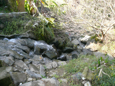 g3/46/358246/3/121126074.IVw03gHt.jpg