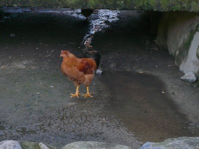 g3/46/358246/3/121126118.4rU5mM2V.jpg