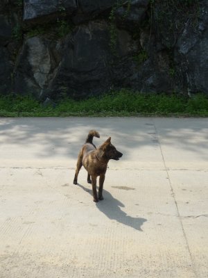 g3/46/358246/3/123651508.LeIIE4Cc.jpg
