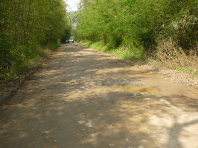 g3/46/358246/3/123651527.LeBhnTsS.jpg