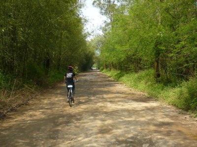 g3/46/358246/3/123651529.lbcwjbS4.jpg