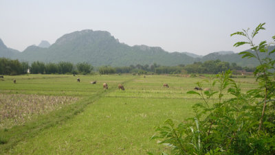 g3/46/358246/3/123651540.zcCk7iG9.jpg