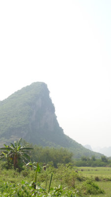 g3/46/358246/3/123651542.NqzOpSit.jpg