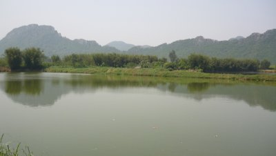 g3/46/358246/3/123651546.YC64jwCB.jpg