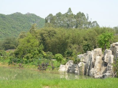 g3/46/358246/3/123651551.XXRDRWmI.jpg