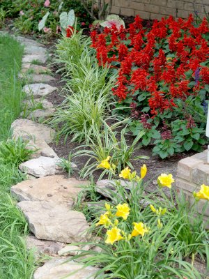 House - Flowers - 5-13-10 Salvia Bed.