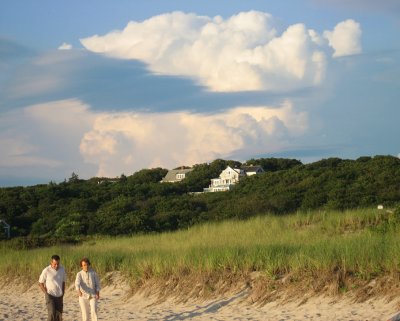 Menemsha Hills9720.
