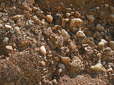 Squibnocket Beach9589