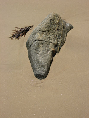 Lucy Vincent Beach9575
