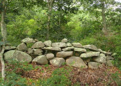 Stone Wall9600