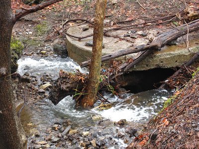 Vine Creek after heavy spring rain