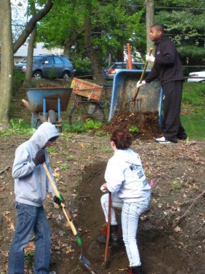 Planting