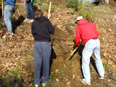 Dad and Son Plant Together