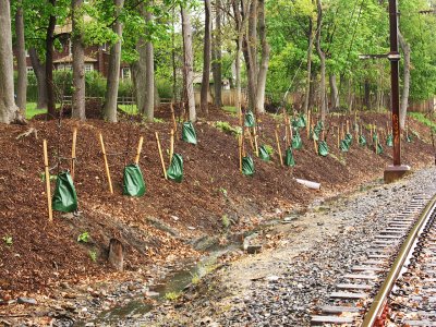 treegator slow release watering bags5262