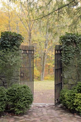 Gate & Forest